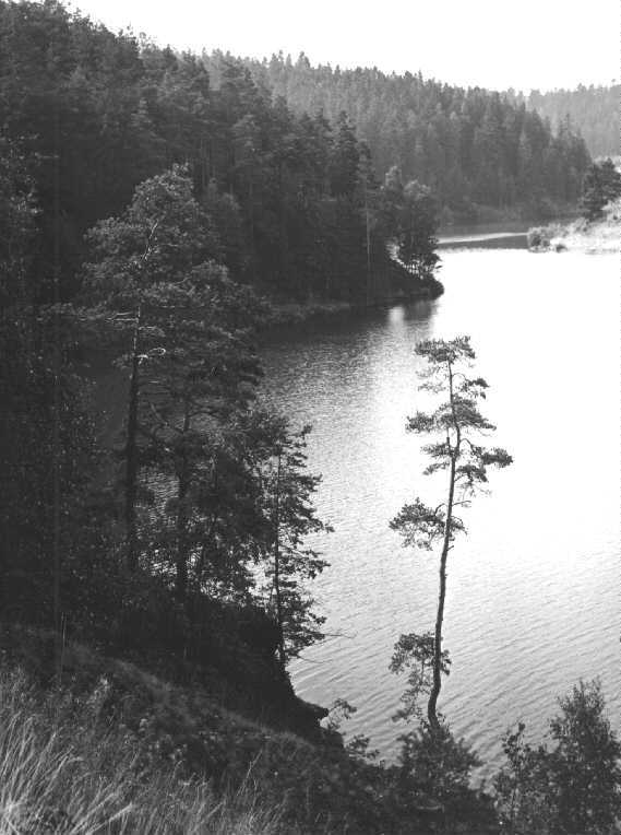 PO12.JPG (45270 bytes)
