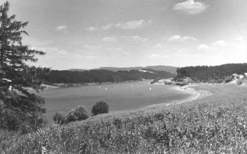 PO5.JPG (43451 bytes)